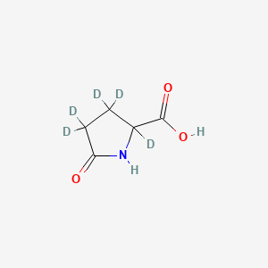 molecular formula C5H7NO3 B583199 DL-Pyroglutamic acid-d5 