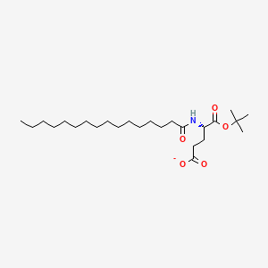 molecular formula C₂₅H₄₇NO₅ B583350 L-Glutamic acid, N-(1-oxohexadecyl)-, 1-(1,1-dimethylethyl) ester CAS No. 536721-25-2