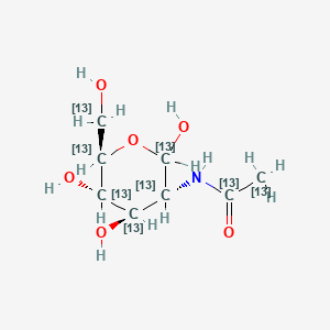 molecular formula C8H15NO6 B583428 N-[1,2-13C2]Acetyl-D-[UL-13C6]glucosamine CAS No. 478529-42-9