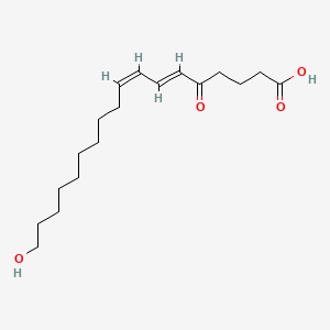 molecular formula C18H30O4 B583520 (6E,8Z)-18-Hydroxy-5-oxooctadeca-6,8-dienoic acid CAS No. 1021188-26-0