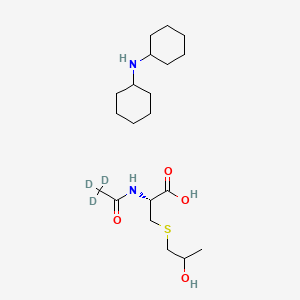 molecular formula C20H38N2O4S B583536 N-Acetyl-S-(2-hydroxypropyl)cysteine-d3 Dicyclohexylammonium Salt CAS No. 1356934-59-2