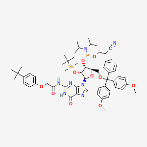 molecular formula C58H76N7O10PSi B583680 DMT-2'O-TBDMS-rG(tac) Phosphoramidite, configured for ABI CAS No. 149989-68-4