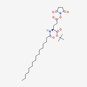 molecular formula C29H50N2O7 B583727 Palm-glu(nhs)-otbu CAS No. 204521-63-1
