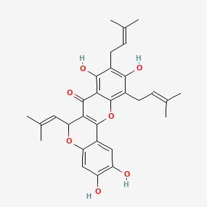 molecular formula C30H32O7 B583803 Artoheterophyllin B 