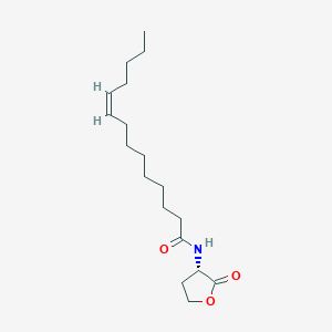 N-cis-Tetradec-9Z-enoyl-L-homoserine lactone