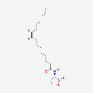 N-[(Z)-Hexadec-9-enoyl]homoserine lactone
