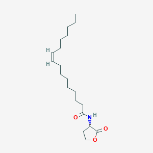 molecular formula C20H35NO3 B584307 N-顺式-十六碳-9Z-烯酰-L-高丝氨酸内酯 CAS No. 479050-94-7