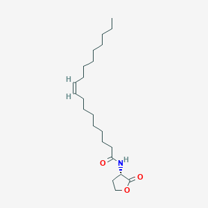 molecular formula C22H39NO3 B584314 N-cis-octadec-9Z-enoyl-L-Homoserine lactone 