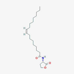 molecular formula C22H39NO3 B584314 N-顺式-十八碳-9Z-烯酰-L-高丝氨酸内酯 CAS No. 1400974-23-3
