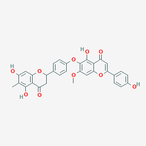 molecular formula C32H24O10 B584326 Taiwanhomoflavone B CAS No. 509077-91-2