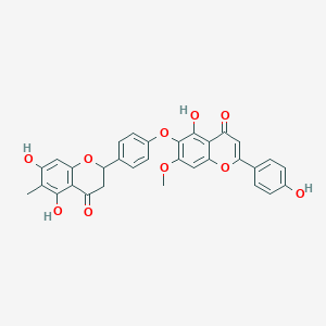 molecular formula C32H24O10 B584326 6-[4-(5,7-二羟基-6-甲基-4-氧代-2,3-二氢色满-2-基)苯氧基]-5-羟基-2-(4-羟基苯基)-7-甲氧基色满-4-酮 CAS No. 509077-91-2