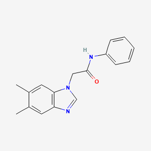 2-(5,6-dimethyl-1H-benzimidazol-1-yl)-N-phenylacetamide