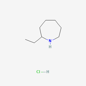 molecular formula C8H18ClN B584550 2-Ethylazepane hydrochloride CAS No. 1346599-38-9