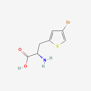 molecular formula C7H8BrNO2S B584727 L-2-(4-Bromothienyl)alanine CAS No. 154593-57-4