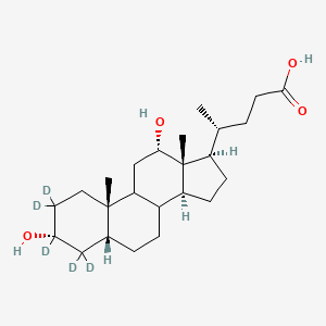 molecular formula C24H40O4 B584740 (4R)-4-[(3R,5R,8R,9S,10S,12S,13R,14S,17R)-2,2,3,4,4-pentadeuterio-3,12-dihydroxy-10,13-dimethyl-1,5,6,7,8,9,11,12,14,15,16,17-dodecahydrocyclopenta[a]phenanthren-17-yl]pentanoic acid CAS No. 52840-14-9