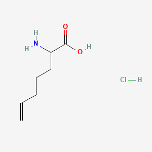 B584781 2-Amino-6-heptenoic Acid Hydrochloride CAS No. 89895-48-7