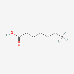 molecular formula C7H14O2 B584799 Heptanoic-7,7,7-D3 acid CAS No. 156779-04-3