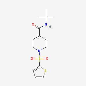 molecular formula C14H22N2O3S2 B5849498 N-TERT-BUTYL-1-(THIOPHENE-2-SULFONYL)PIPERIDINE-4-CARBOXAMIDE 