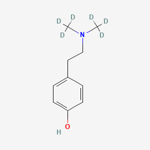 molecular formula C10H15NO B585007 Hordenine-d6 