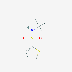 molecular formula C9H15NO2S2 B5851460 N-(2-methylbutan-2-yl)thiophene-2-sulfonamide 