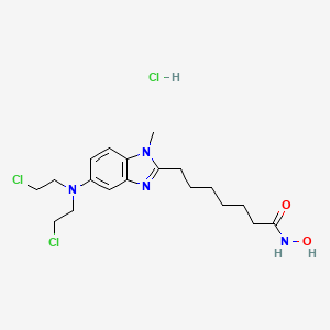 molecular formula C19H29Cl3N4O2 B585383 Tinostamustine hydrochloride CAS No. 1793059-58-1