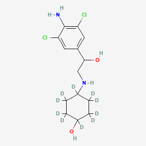 molecular formula C14H20Cl2N2O2 B585719 Clencyclohexerol-d10 
