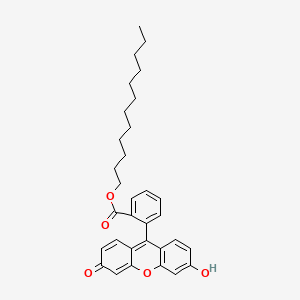 molecular formula C32H36O5 B585901 Fluorescein dodecyl ester CAS No. 155556-89-1