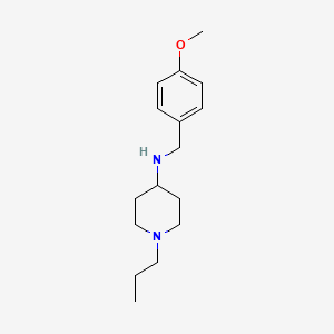 molecular formula C16H26N2O B5859628 N-[(4-methoxyphenyl)methyl]-1-propylpiperidin-4-amine 
