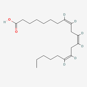 molecular formula C20H34O2 B586437 Dihomo-|A-linolenic Acid-d6 