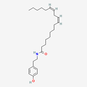 molecular formula C26H41NO2 B586540 Termitomycamide E 