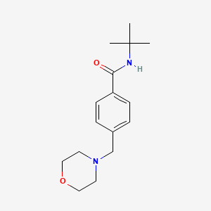 molecular formula C16H24N2O2 B5866529 N-tert-butyl-4-(morpholin-4-ylmethyl)benzamide 