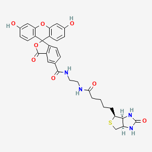 molecular formula C33H32N4O8S B586927 Biotin-4-Fluorescein CAS No. 1032732-74-3