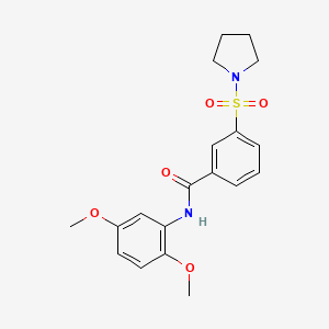 molecular formula C19H22N2O5S B5869658 N-(2,5-dimethoxyphenyl)-3-(pyrrolidin-1-ylsulfonyl)benzamide 