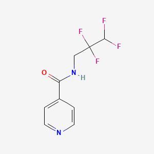 molecular formula C9H8F4N2O B5871046 N-(2,2,3,3-tetrafluoropropyl)pyridine-4-carboxamide 