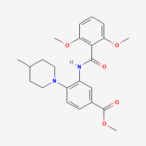 molecular formula C23H28N2O5 B5871863 METHYL 3-(2,6-DIMETHOXYBENZAMIDO)-4-(4-METHYLPIPERIDIN-1-YL)BENZOATE 