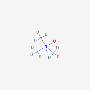 molecular formula C3H9NO B587283 Trimethylamine N-oxide-d9 CAS No. 1161070-49-0