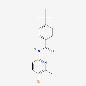 molecular formula C17H19BrN2O B5873340 N-(5-bromo-6-methylpyridin-2-yl)-4-tert-butylbenzamide 
