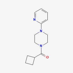 molecular formula C14H19N3O B5873902 CYCLOBUTYL[4-(2-PYRIDYL)PIPERAZINO]METHANONE 