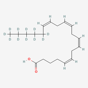 molecular formula C20H32O2 B587427 Arachidonic Acid-d11 