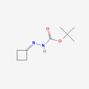 molecular formula C9H16N2O2 B587446 tert-Butyl cyclobutylidenecarbazate CAS No. 158001-20-8