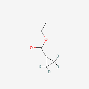 molecular formula C6H10O2 B587506 Ethyl Cyclopropylcarboxylate-d4 CAS No. 927810-77-3