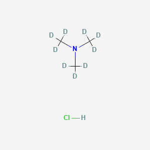 molecular formula C3H10ClN B587661 Trimethylammonium chloride-d9 CAS No. 18856-86-5