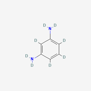 B587673 1,3-Phenylenediamine-d8 CAS No. 770735-58-5