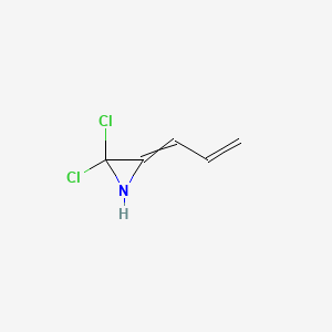 2,2-Dichloro-3-(prop-2-en-1-ylidene)aziridine