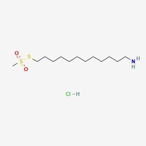 molecular formula C13H30ClNO2S2 B587810 12-Aminododecyl Methanethiosulfonate Hydrochloride CAS No. 1246816-18-1