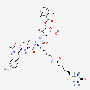 molecular formula C46H63N7O12S B587948 AC-Tyr-val-lys(biotinyl)-asp-2,6-dimethylbenzoyloxymethylketone CAS No. 154719-25-2