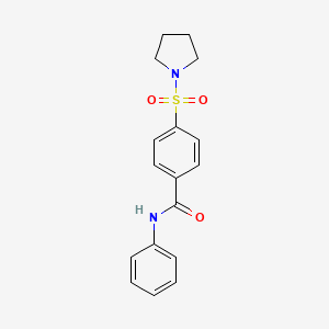molecular formula C17H18N2O3S B5879500 N-phenyl-4-pyrrolidin-1-ylsulfonylbenzamide 