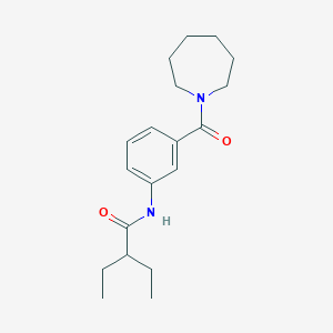 molecular formula C19H28N2O2 B5879565 N-[3-(azepane-1-carbonyl)phenyl]-2-ethylbutanamide 