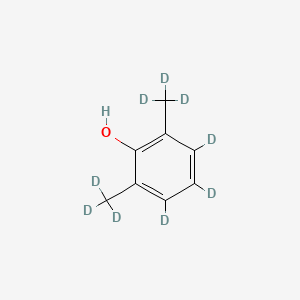 molecular formula C8H10O B587977 2,6-Dimethylphenol-d9 (Major) CAS No. 1021325-40-5