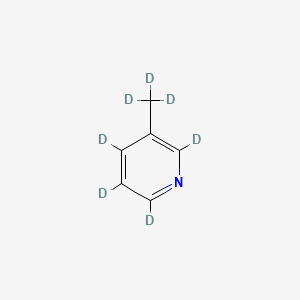 molecular formula C6H7N B587991 3-Methylpyridine-d7 CAS No. 202529-13-3